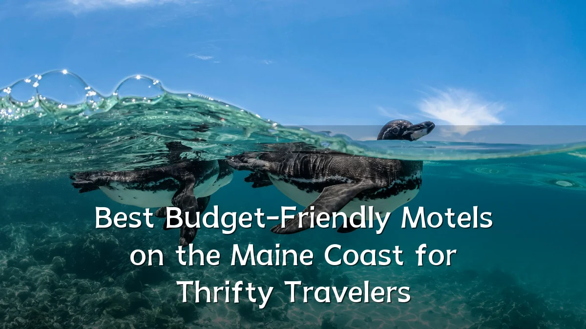 Best Budget-Friendly Motels on the Maine Coast for Thrifty Travelers