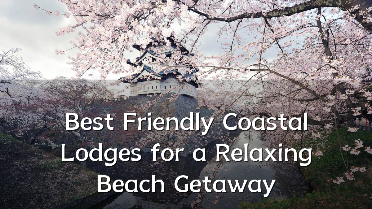 Best Friendly Coastal Lodges for a Relaxing Beach Getaway