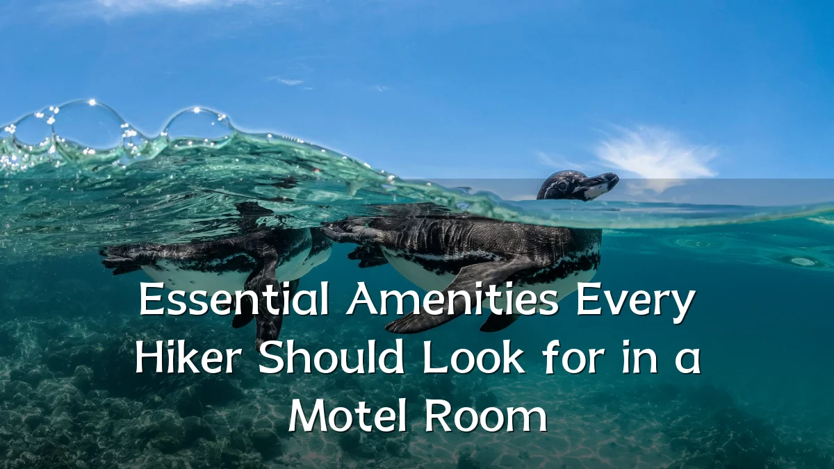 Essential Amenities Every Hiker Should Look for in a Motel Room