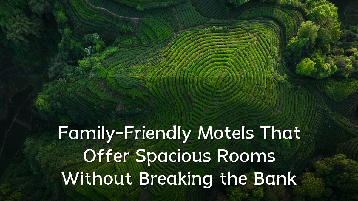 Family-Friendly Motels That Offer Spacious Rooms Without Breaking the Bank