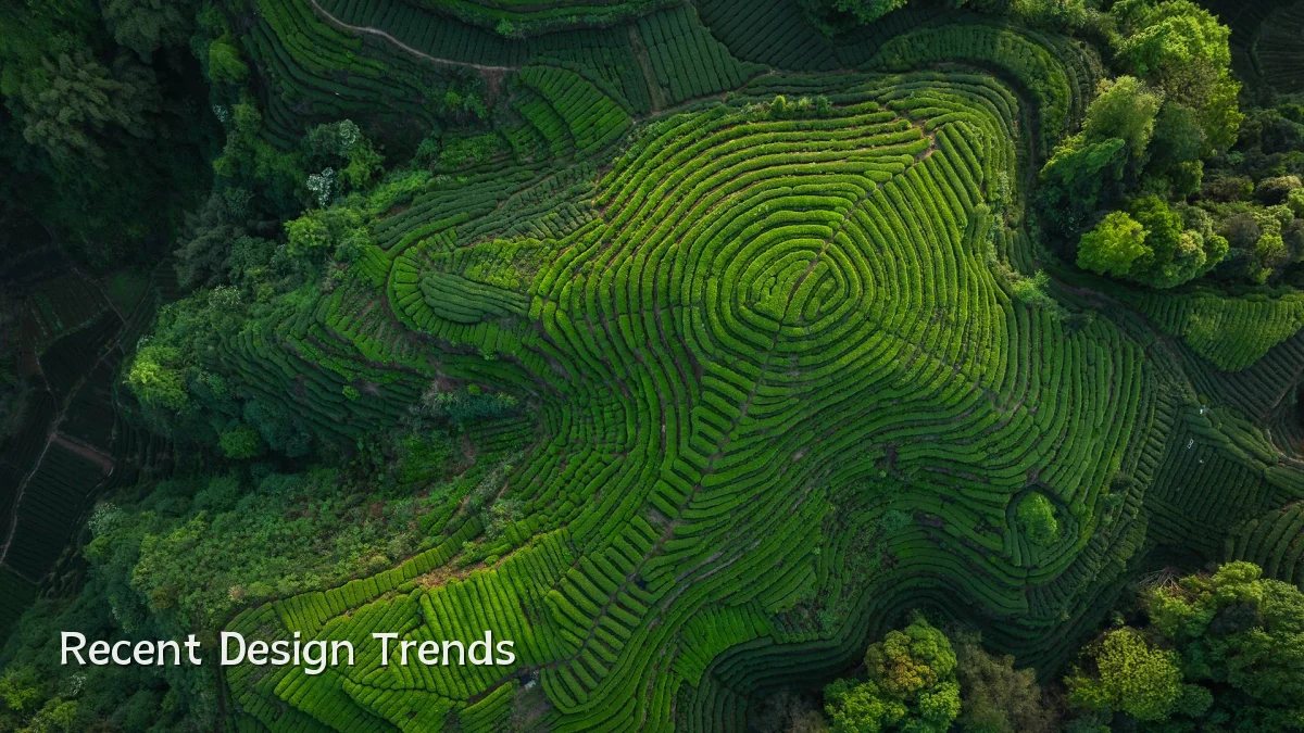 Recent Design Trends