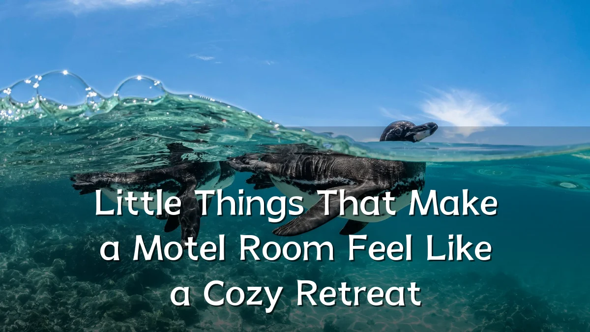 Little Things That Make a Motel Room Feel Like a Cozy Retreat