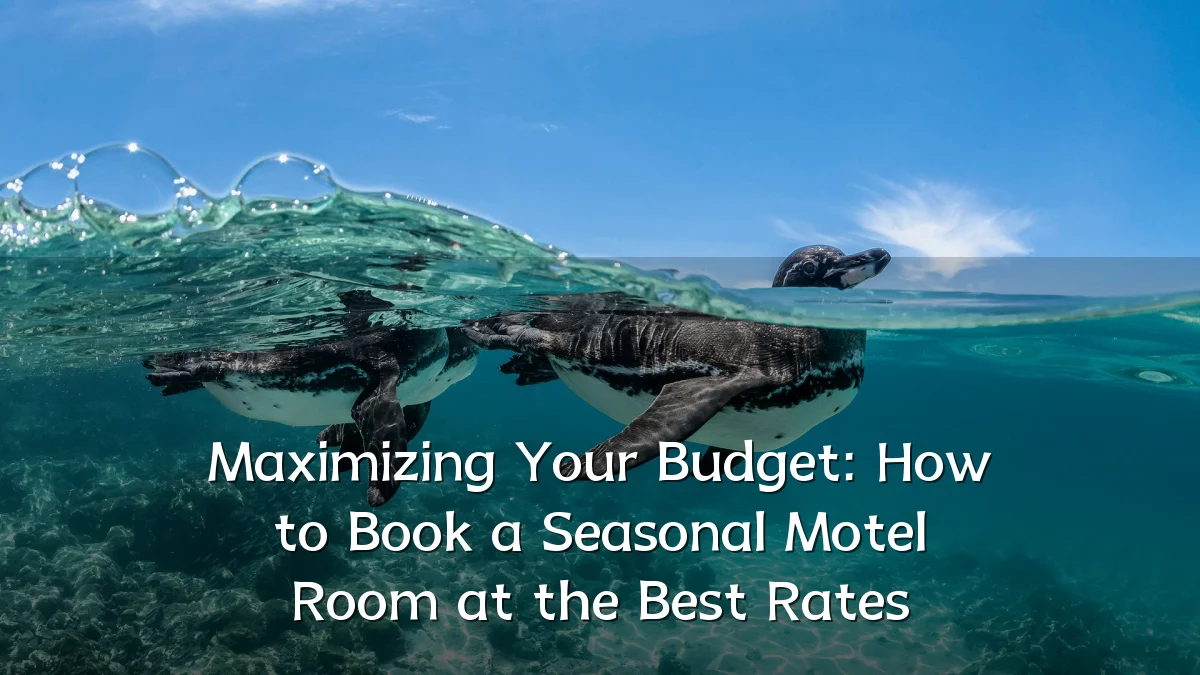 Maximizing Your Budget: How to Book a Seasonal Motel Room at the Best Rates