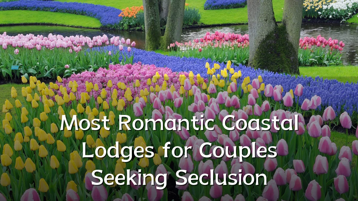 Most Romantic Coastal Lodges for Couples Seeking Seclusion