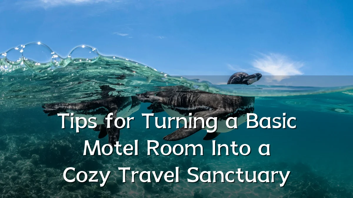 Tips for Turning a Basic Motel Room Into a Cozy Travel Sanctuary