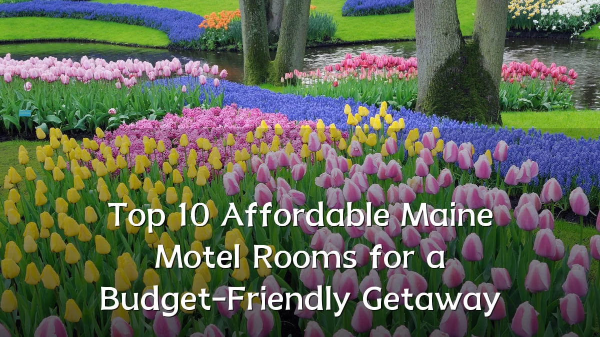 Top 10 Affordable Maine Motel Rooms for a Budget-Friendly Getaway