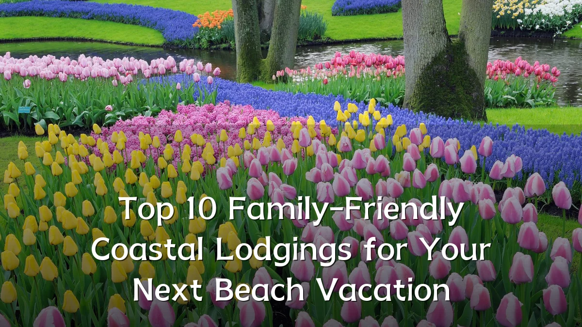 Top 10 Family-Friendly Coastal Lodgings for Your Next Beach Vacation