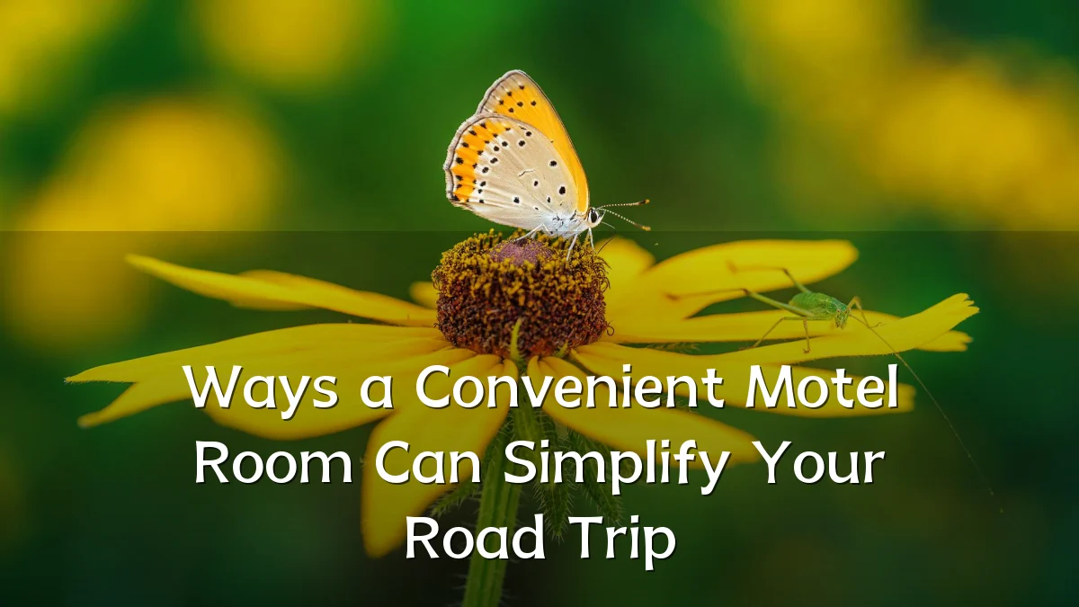 Ways a Convenient Motel Room Can Simplify Your Road Trip