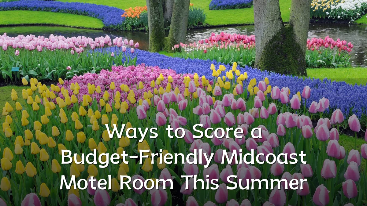 Ways to Score a Budget-Friendly Midcoast Motel Room This Summer