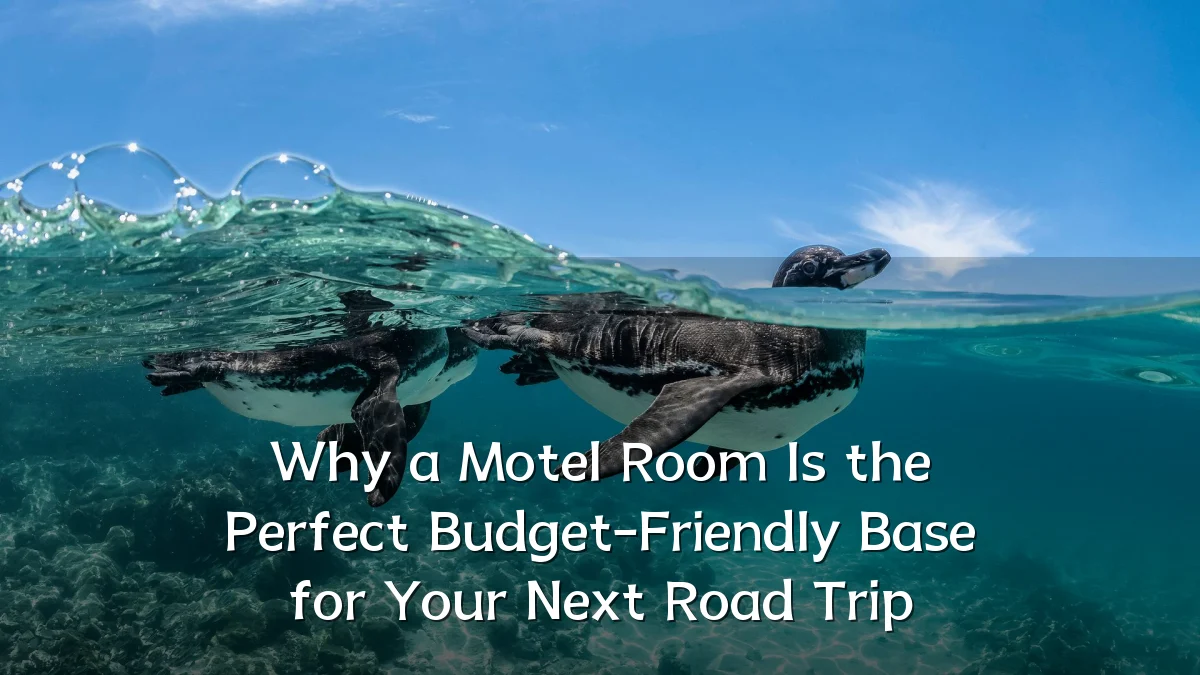 Why a Motel Room Is the Perfect Budget-Friendly Base for Your Next Road Trip