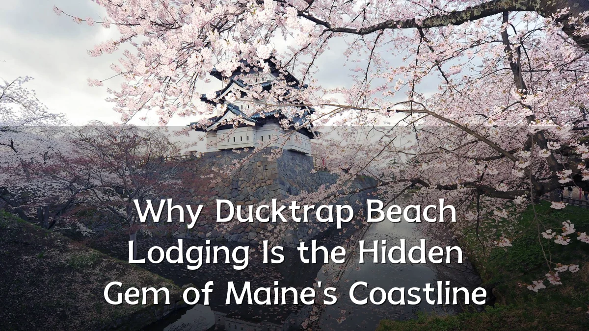 Why Ducktrap Beach Lodging Is the Hidden Gem of Maine's Coastline