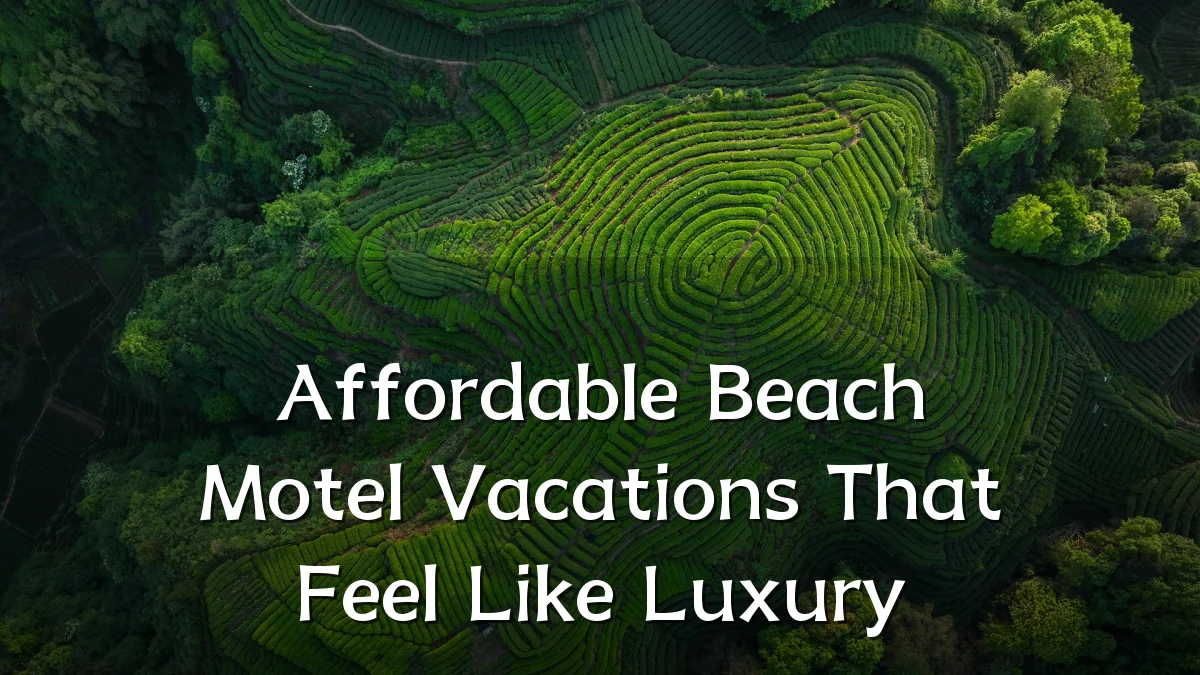Affordable Beach Motel Vacations That Feel Like Luxury