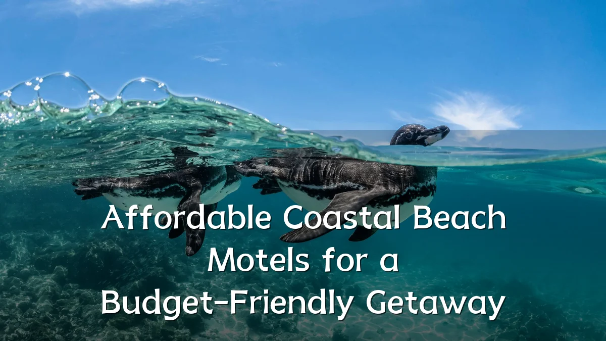 Affordable Coastal Beach Motels for a Budget-Friendly Getaway