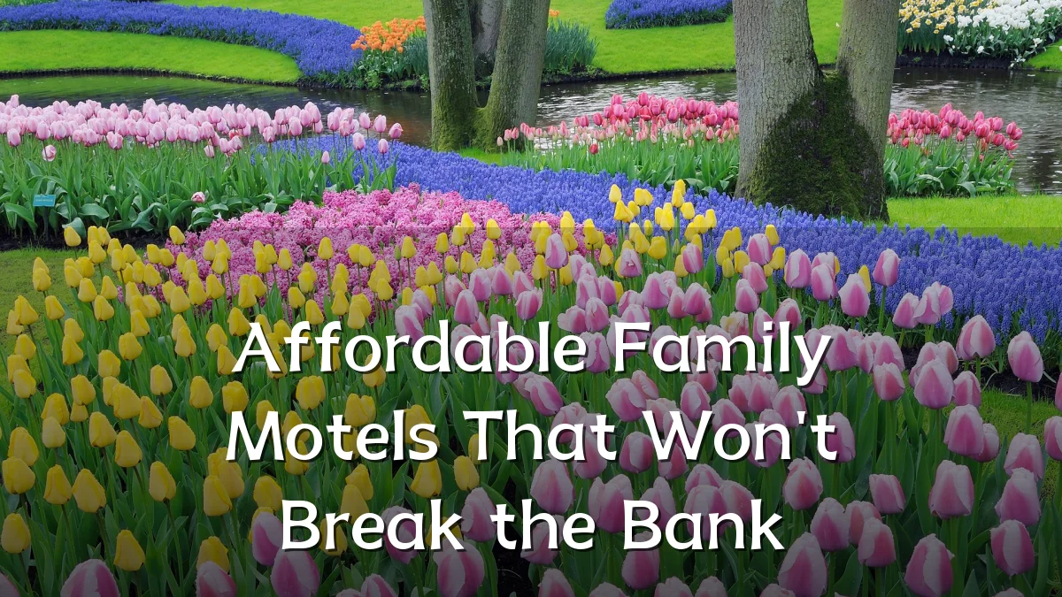 Affordable Family Motels That Won't Break the Bank