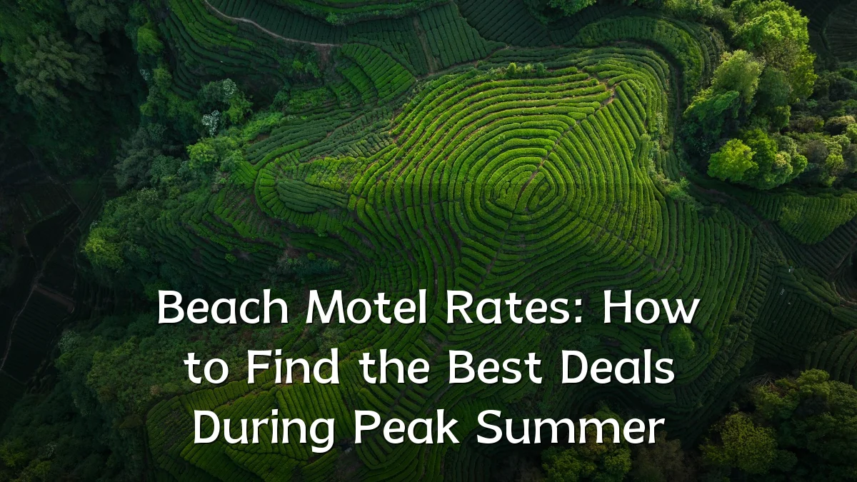 Beach Motel Rates: How to Find the Best Deals During Peak Summer