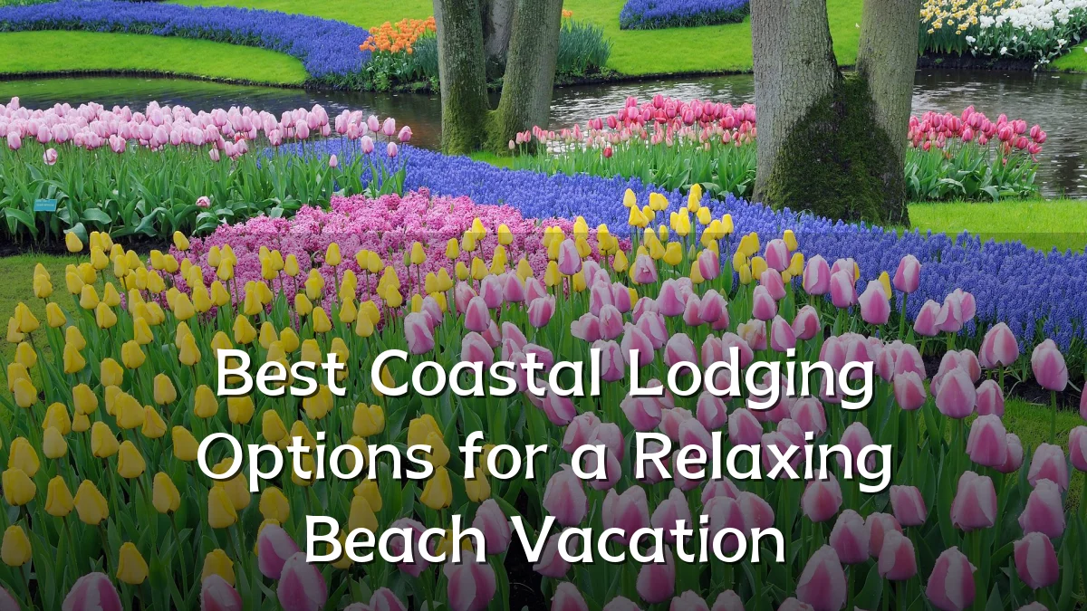 Best Coastal Lodging Options for a Relaxing Beach Vacation
