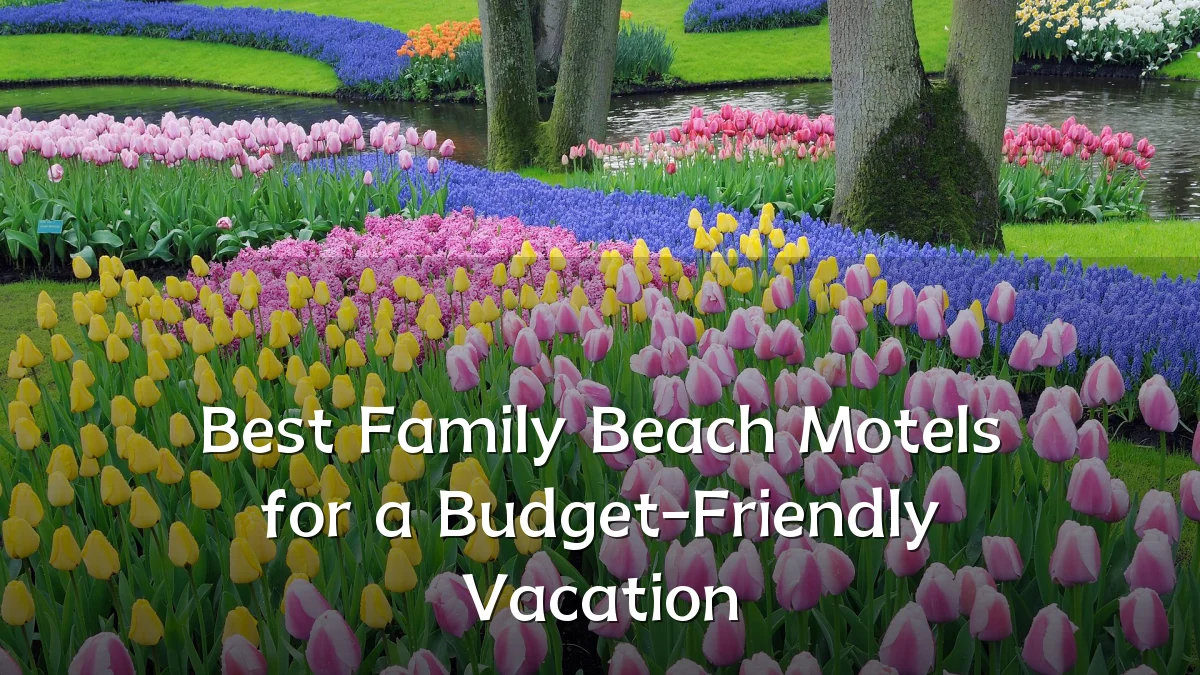 Best Family Beach Motels for a Budget-Friendly Vacation