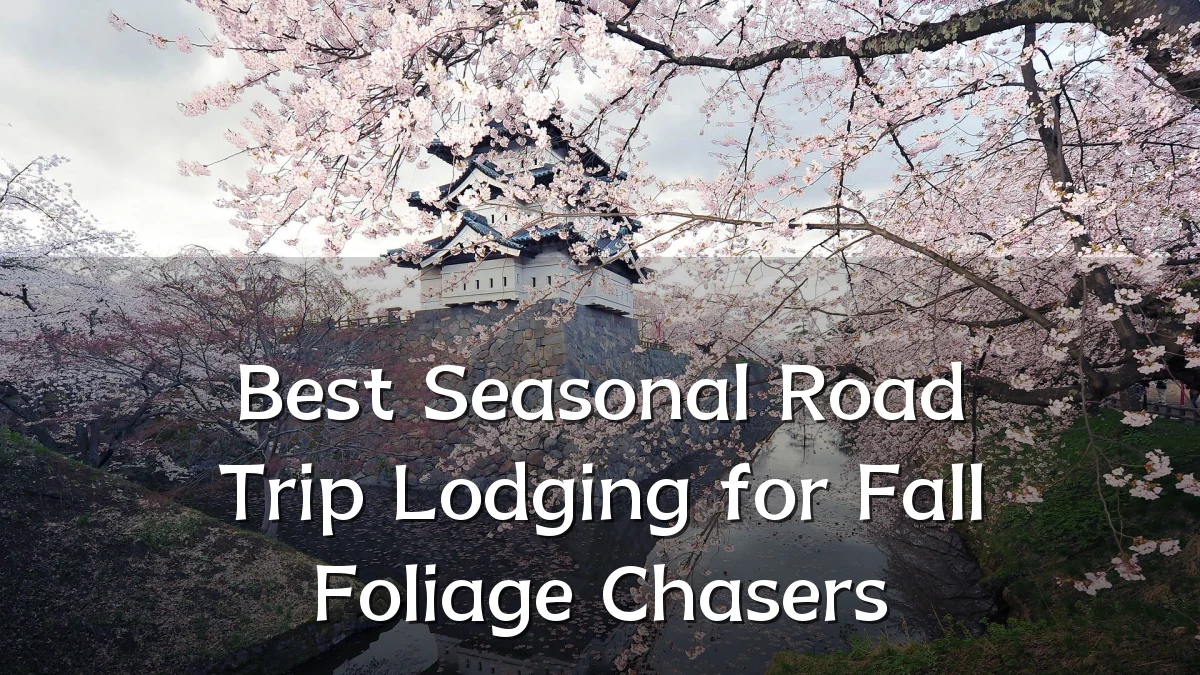 Best Seasonal Road Trip Lodging for Fall Foliage Chasers