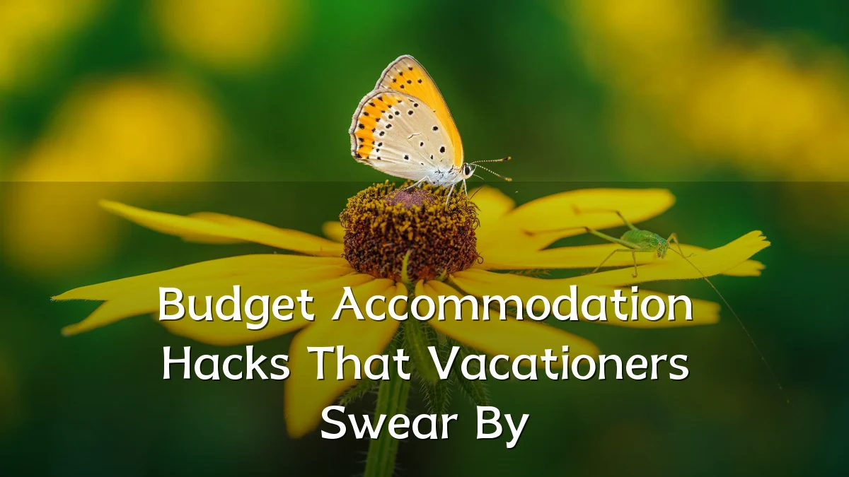 Budget Accommodation Hacks That Vacationers Swear By