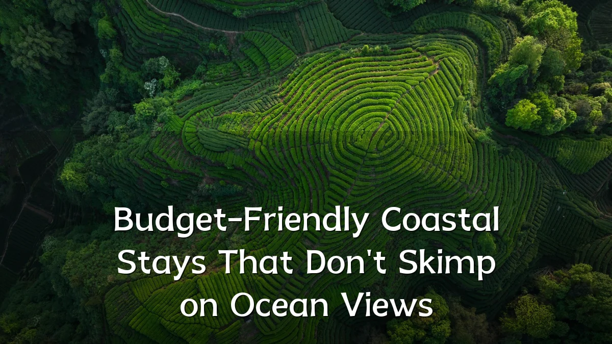 Budget-Friendly Coastal Stays That Don't Skimp on Ocean Views