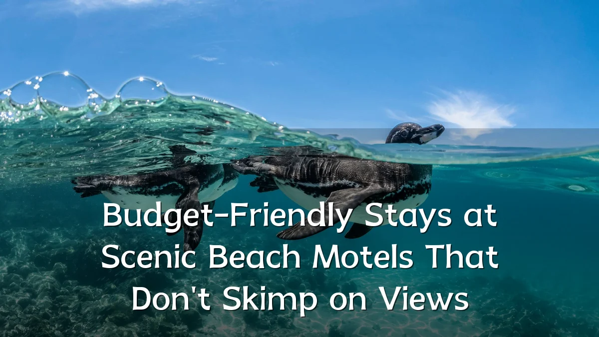 Budget-Friendly Stays at Scenic Beach Motels That Don't Skimp on Views
