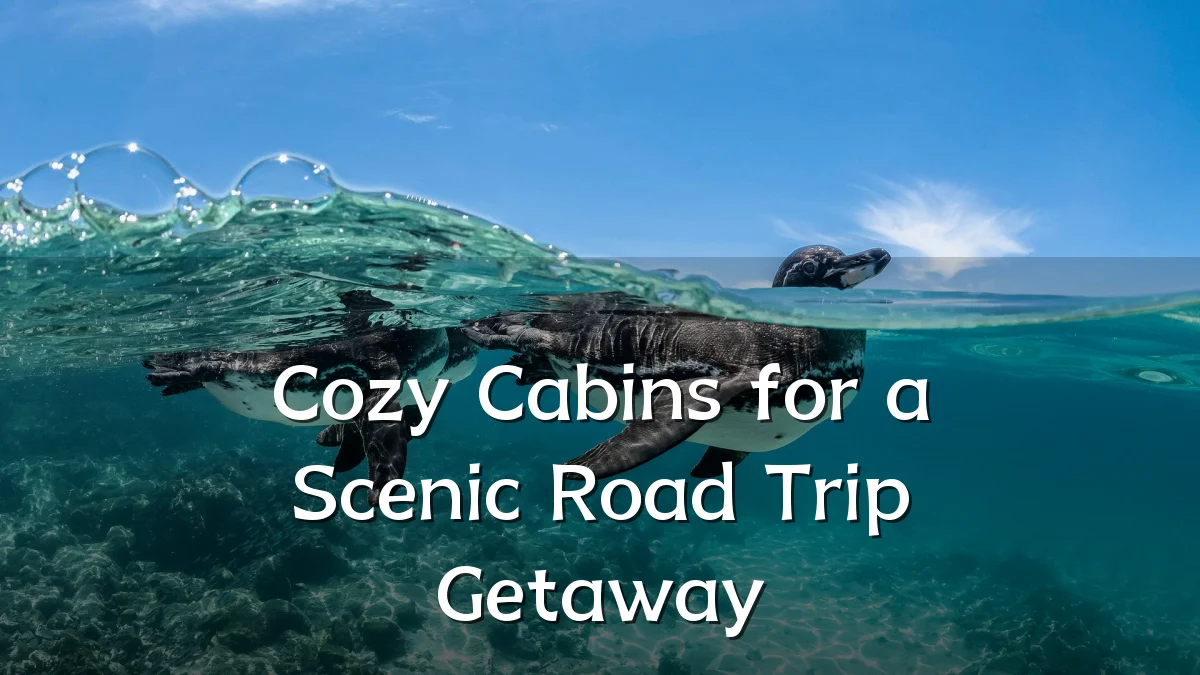 Cozy Cabins for a Scenic Road Trip Getaway