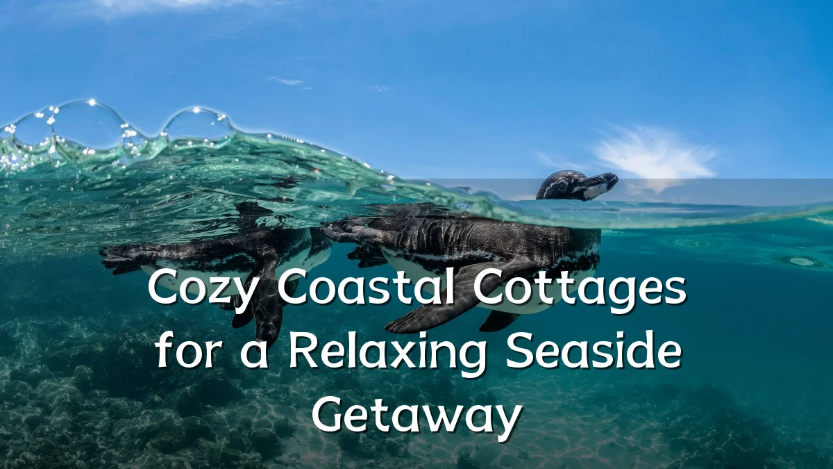 Cozy Coastal Cottages for a Relaxing Seaside Getaway