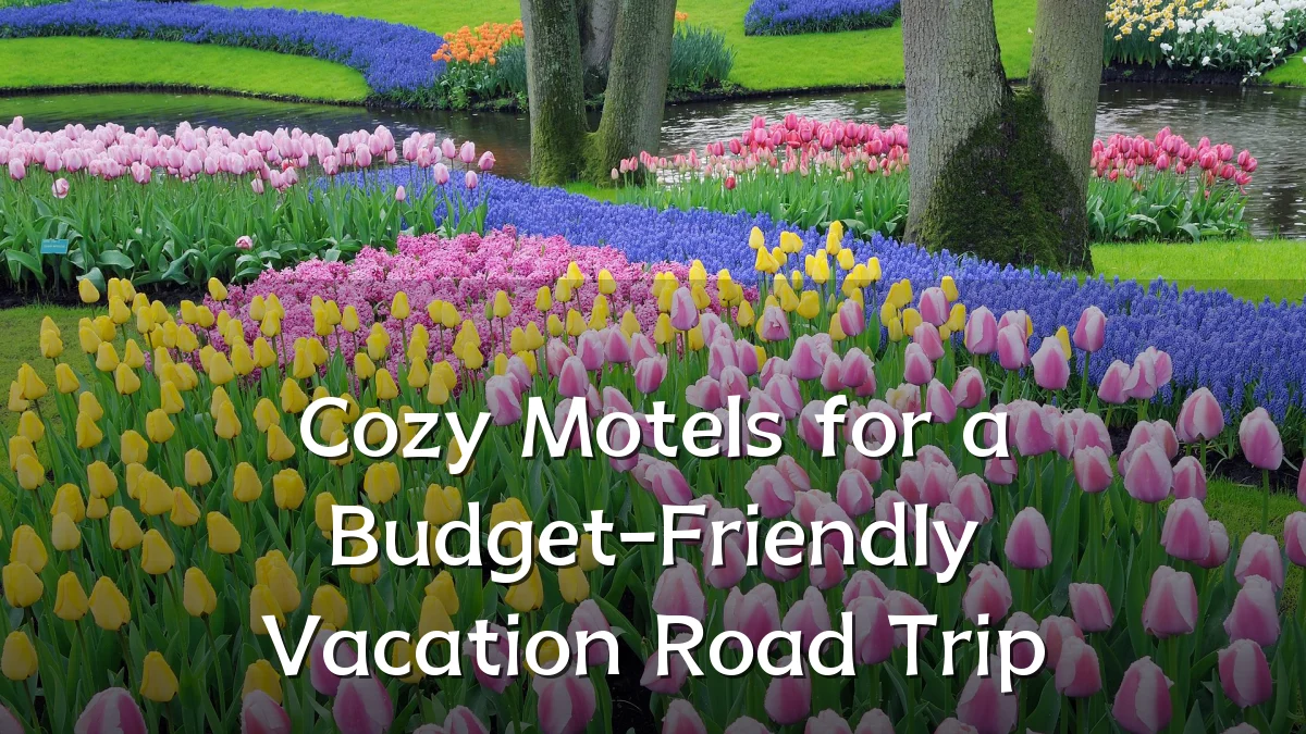 Cozy Motels for a Budget-Friendly Vacation Road Trip