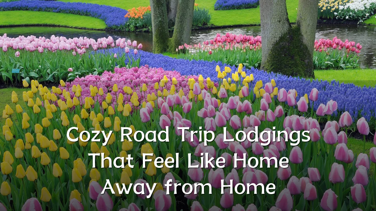 Cozy Road Trip Lodgings That Feel Like Home Away from Home