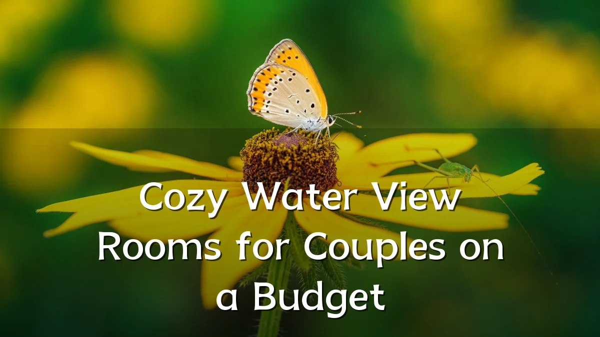 Cozy Water View Rooms for Couples on a Budget