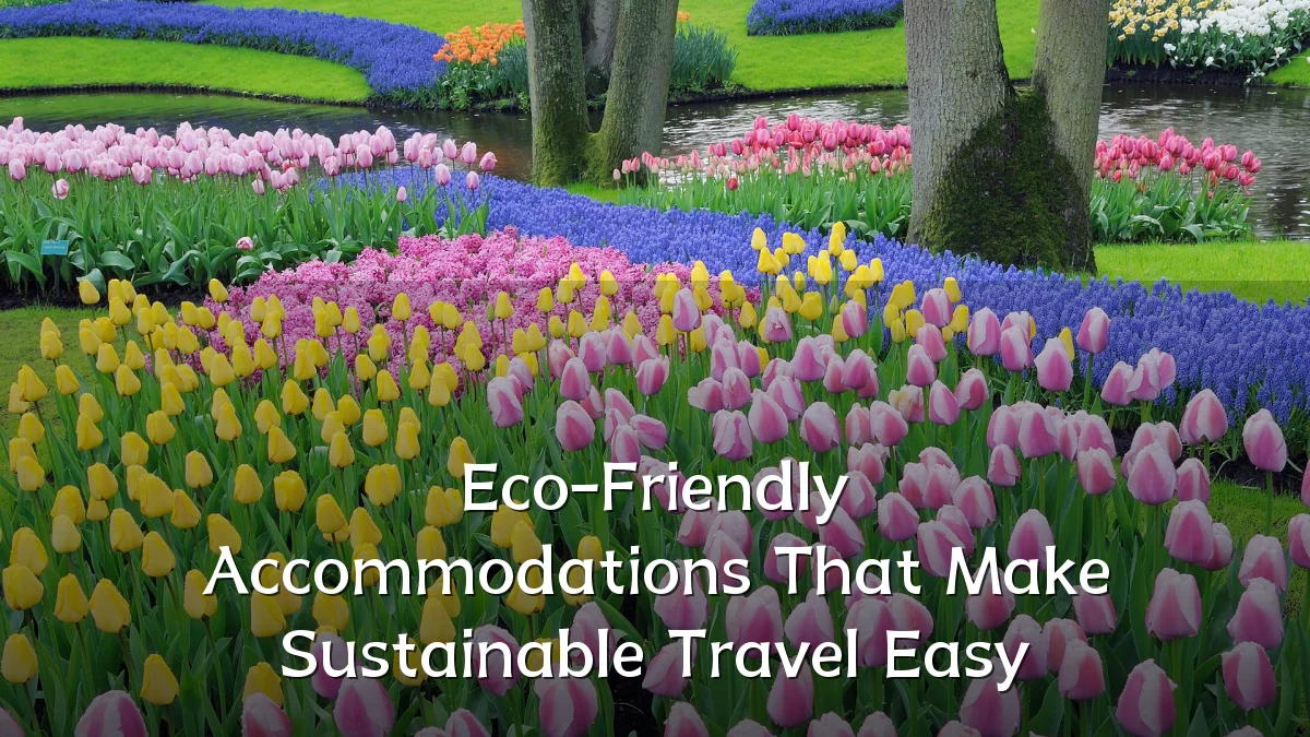 Eco-Friendly Accommodations That Make Sustainable Travel Easy