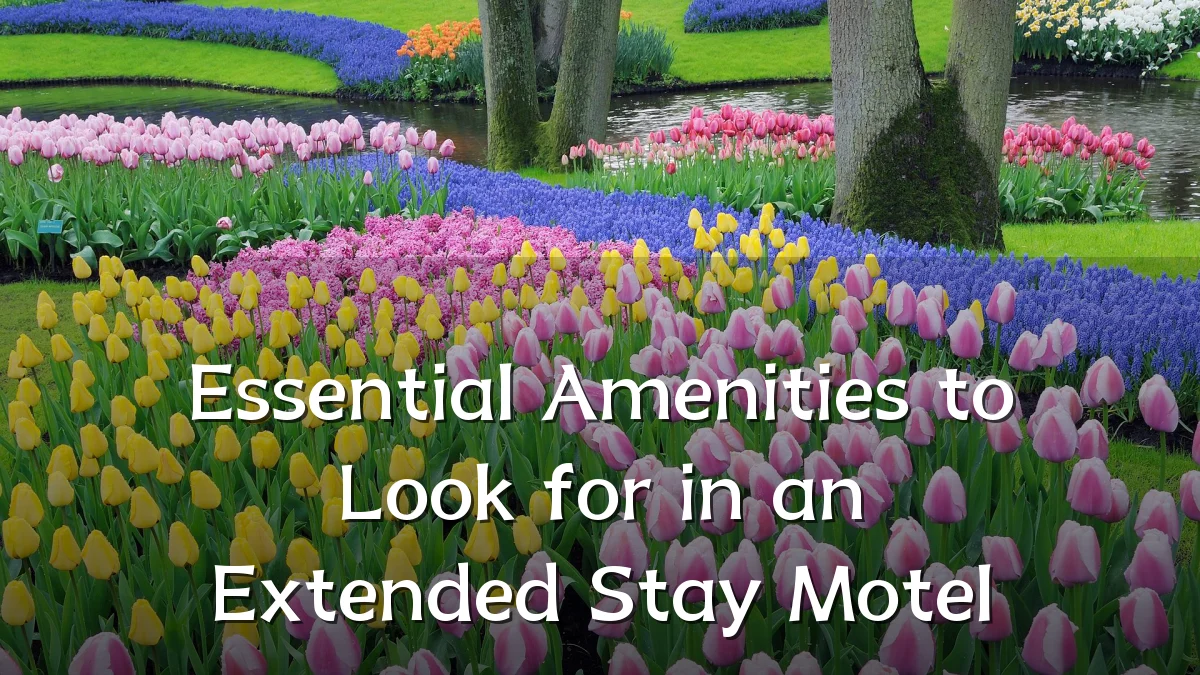 Essential Amenities to Look for in an Extended Stay Motel