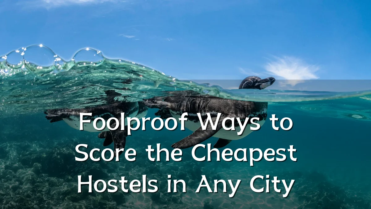 Foolproof Ways to Score the Cheapest Hostels in Any City