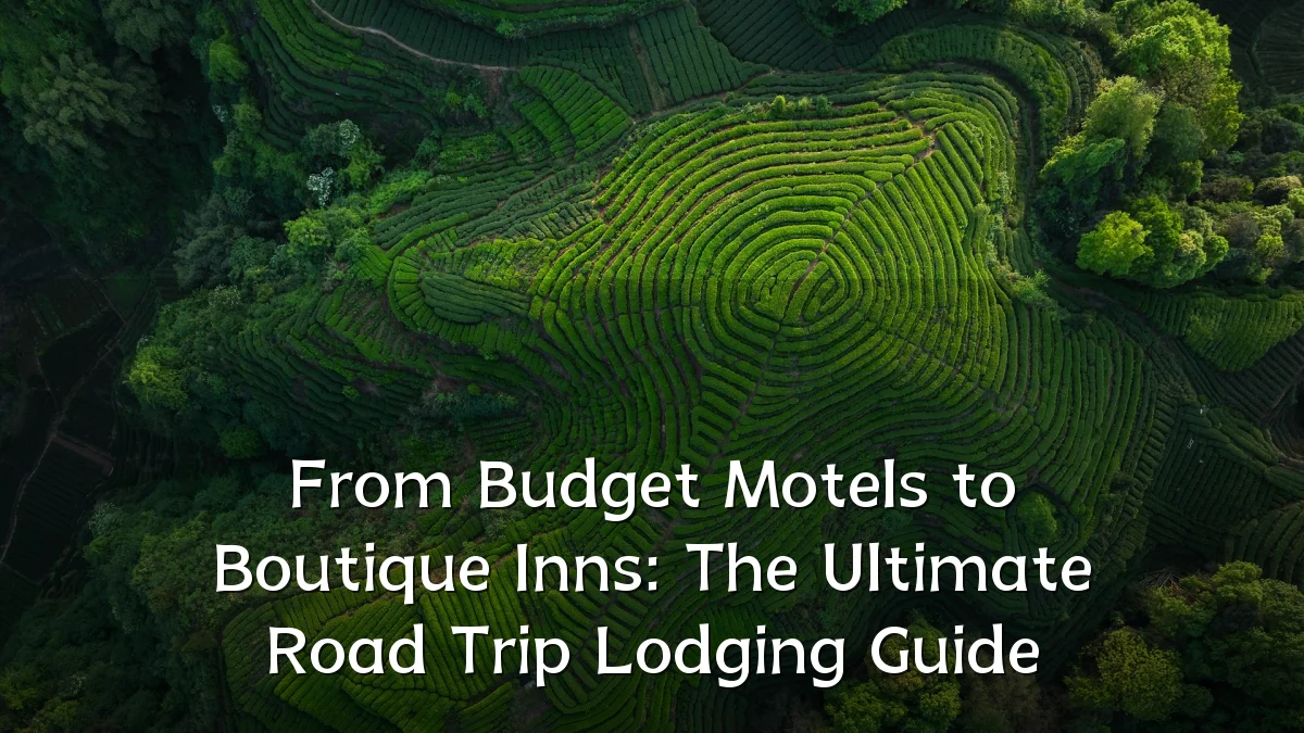 From Budget Motels to Boutique Inns: The Ultimate Road Trip Lodging Guide