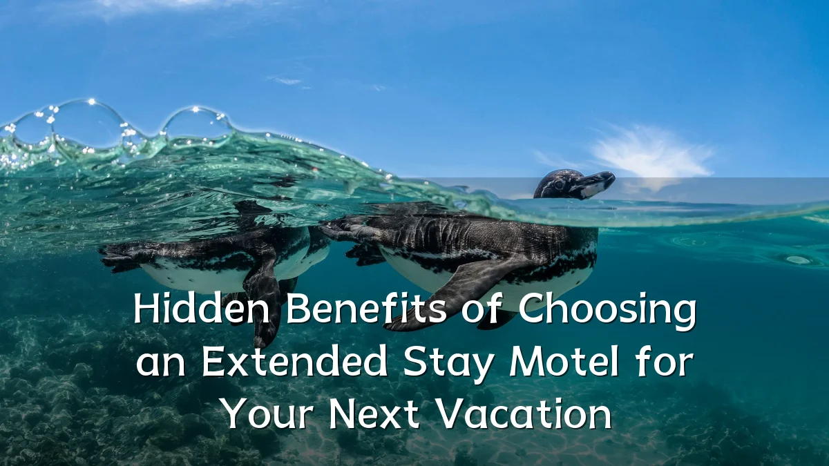 Hidden Benefits of Choosing an Extended Stay Motel for Your Next Vacation