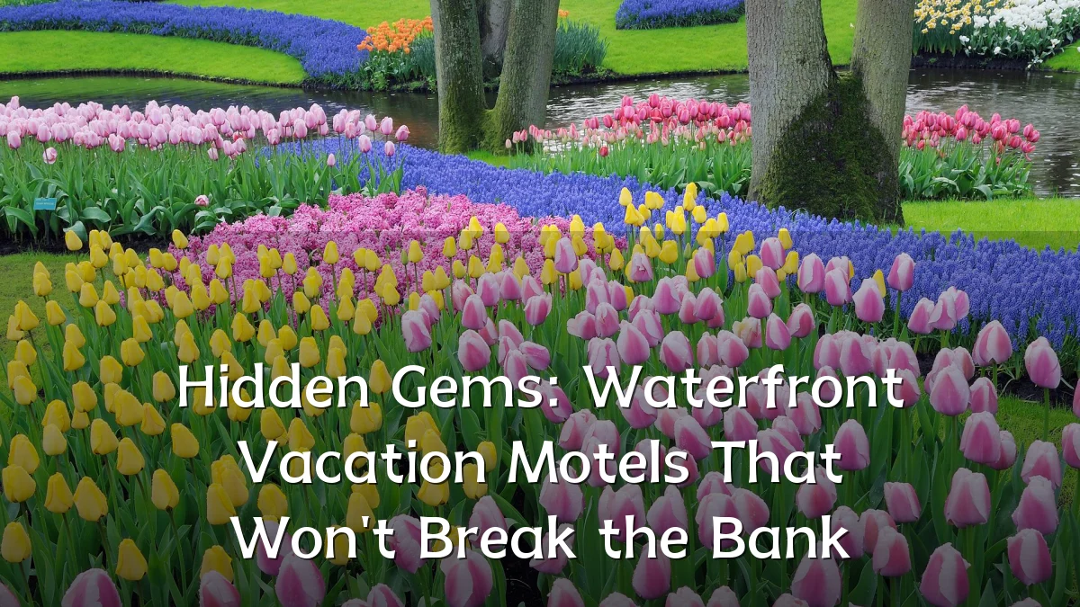 Hidden Gems: Waterfront Vacation Motels That Won't Break the Bank