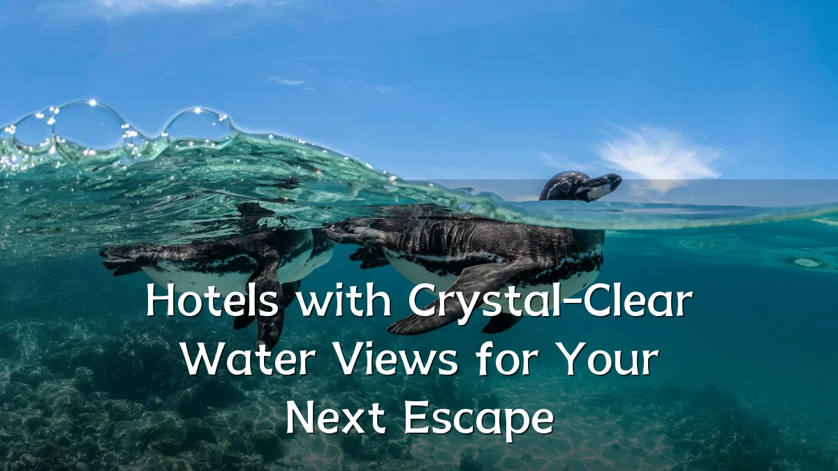 Hotels with Crystal-Clear Water Views for Your Next Escape