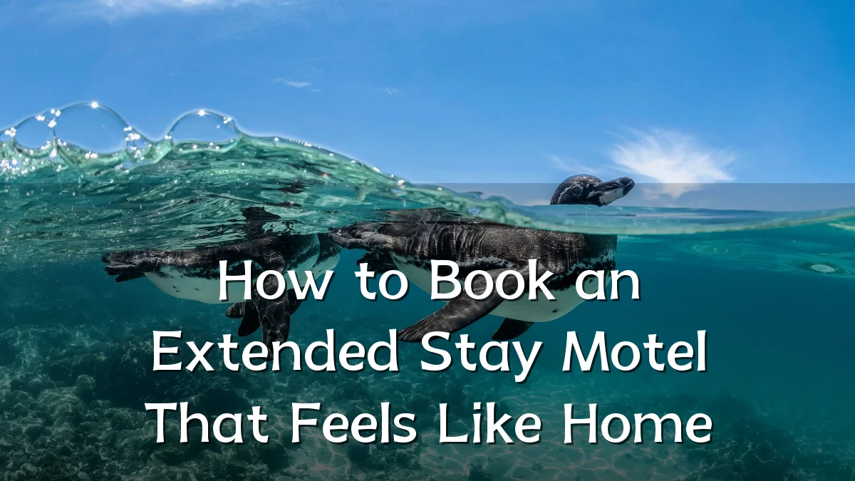 How to Book an Extended Stay Motel That Feels Like Home