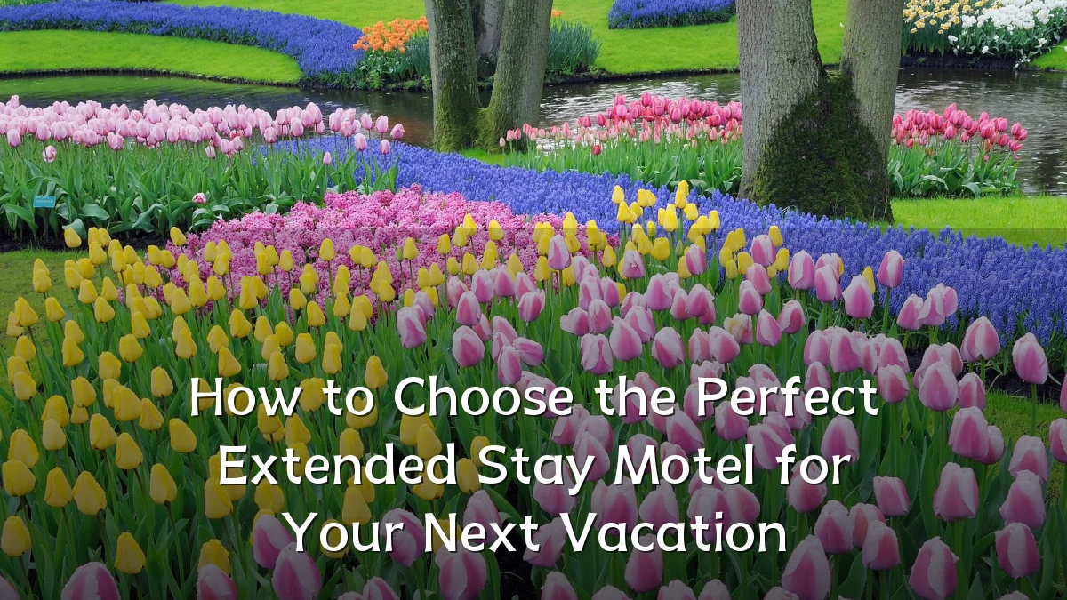 How to Choose the Perfect Extended Stay Motel for Your Next Vacation