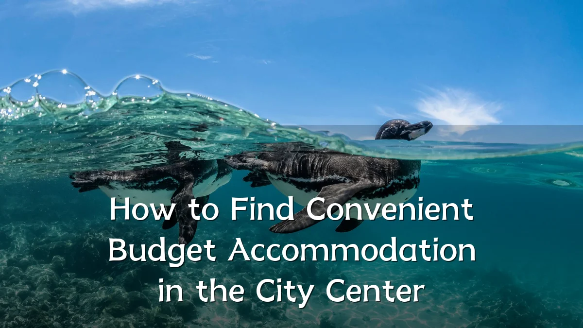 How to Find Convenient Budget Accommodation in the City Center