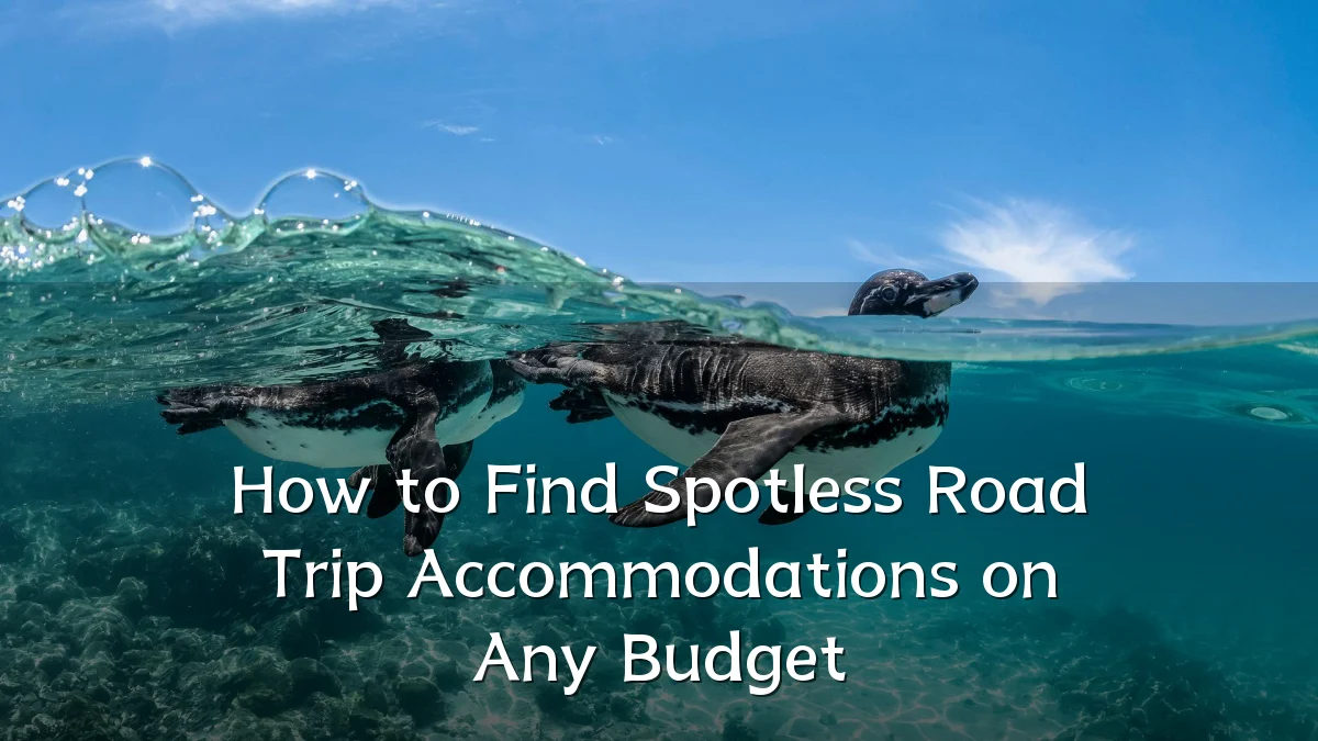 How to Find Spotless Road Trip Accommodations on Any Budget