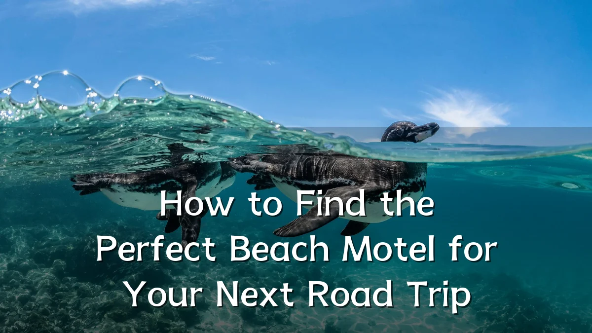 How to Find the Perfect Beach Motel for Your Next Road Trip