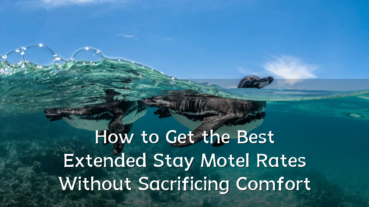 How to Get the Best Extended Stay Motel Rates Without Sacrificing Comfort