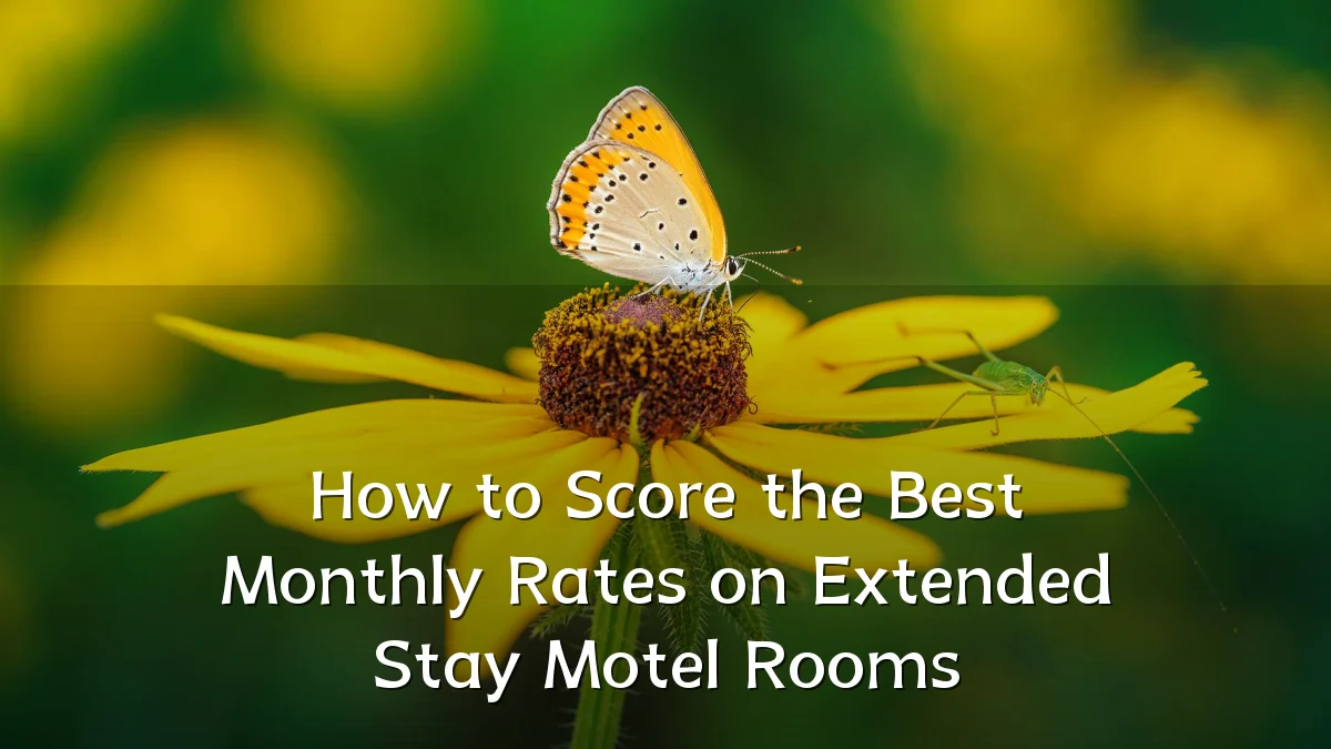 How to Score the Best Monthly Rates on Extended Stay Motel Rooms