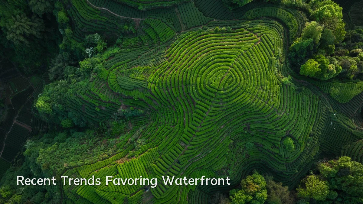 Recent Trends Favoring Waterfront