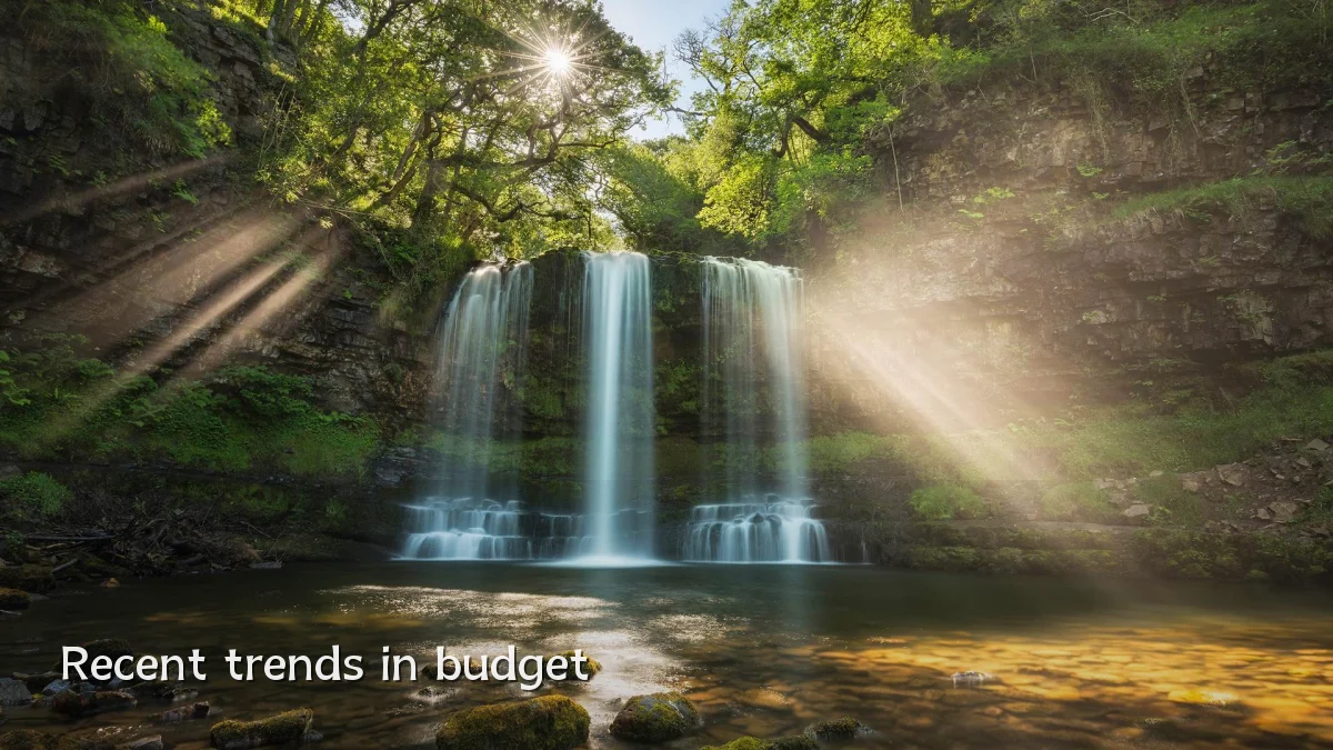 Recent trends in budget