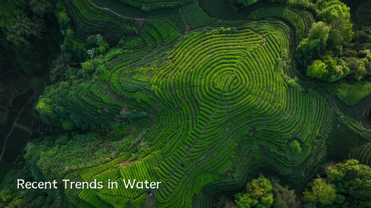 Recent Trends in Water