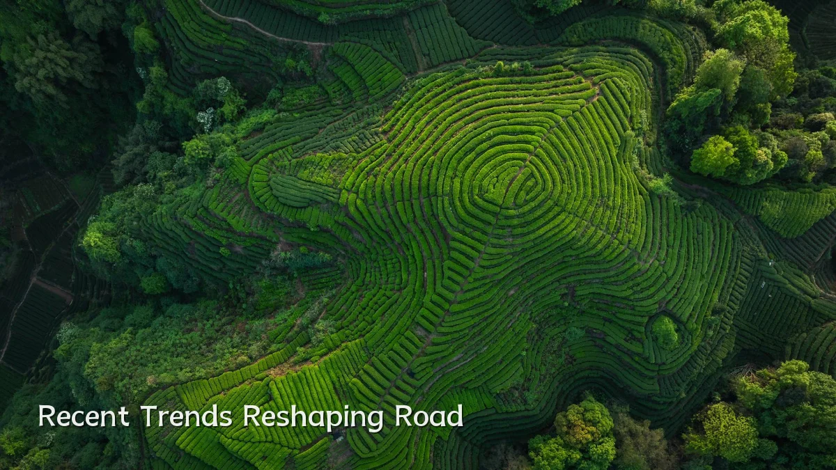 Recent Trends Reshaping Road