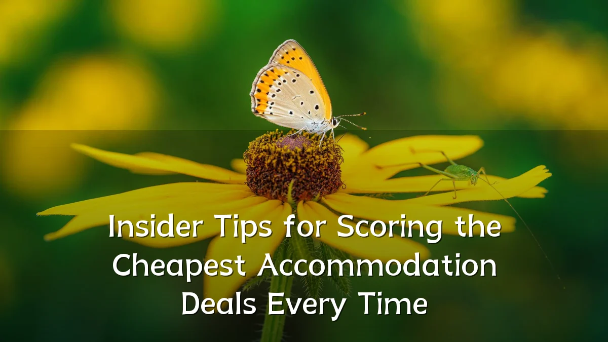 Insider Tips for Scoring the Cheapest Accommodation Deals Every Time