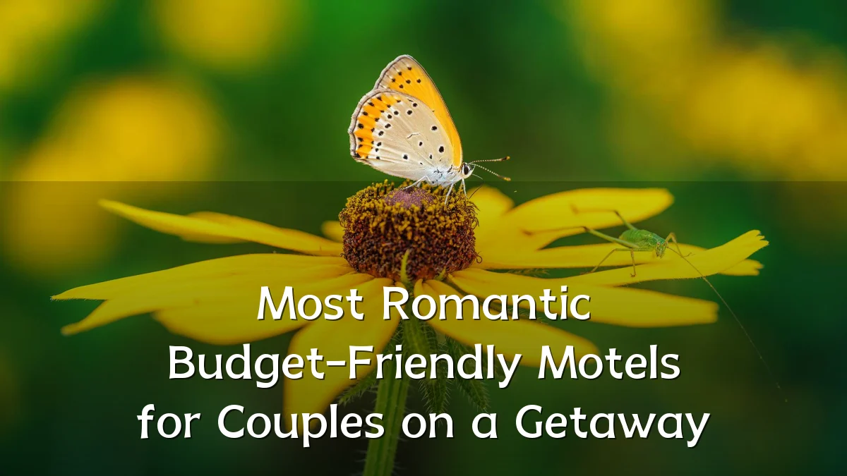 Most Romantic Budget-Friendly Motels for Couples on a Getaway